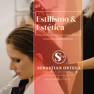 estilismo y estÉtica