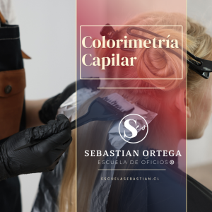 colorimetrÍa capilar